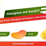 Enjoy Mangoes Online in Germany at a Reasonable Price