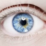 What is cause of Alexandria’s Genesis