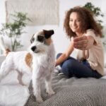Cute dog on the bed in bedroom