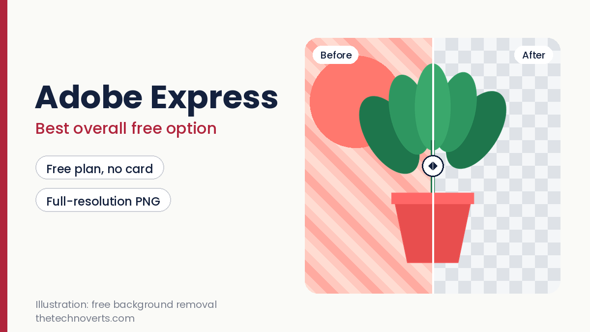 Illustration of a before and after background removal for Adobe Express with a plant on a transparent grid