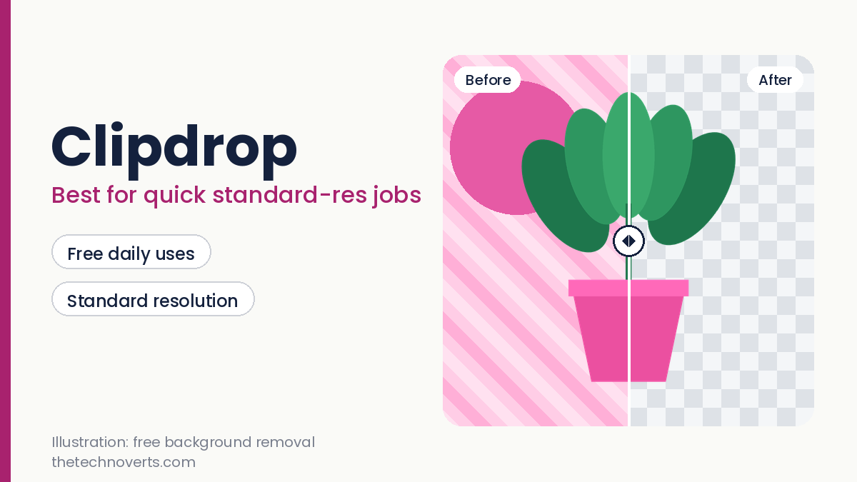 Illustration of a before and after background removal for Clipdrop with a plant on a transparent grid
