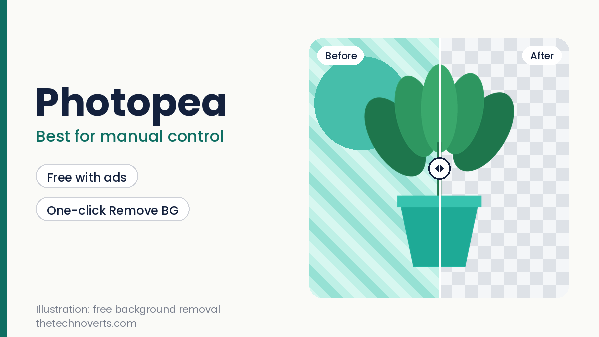 Illustration of a before and after background removal for Photopea with a plant on a transparent grid