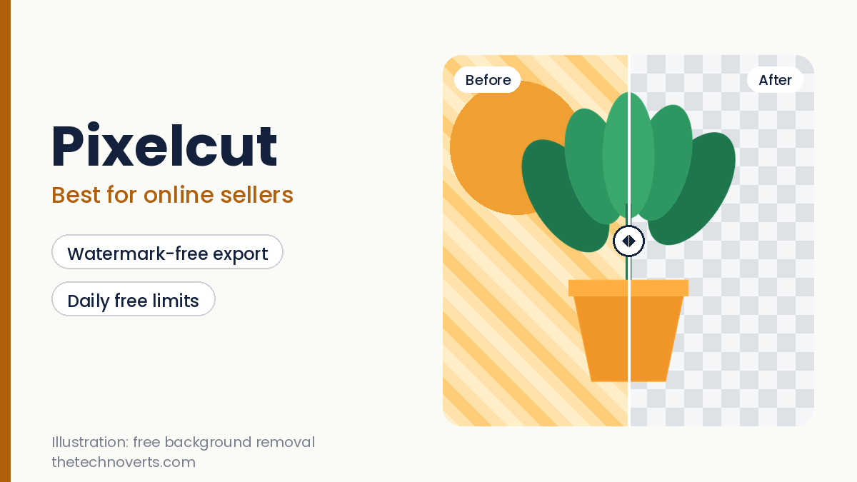 Illustration of a before and after background removal for Pixelcut with a plant on a transparent grid