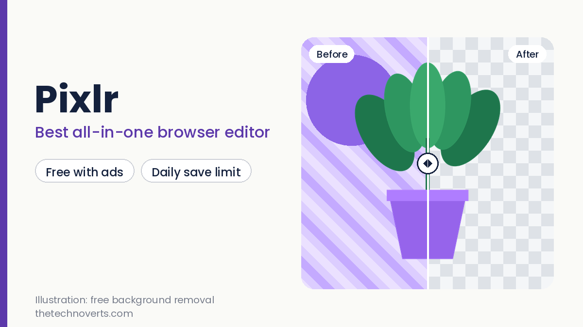 Illustration of a before and after background removal for Pixlr with a plant on a transparent grid