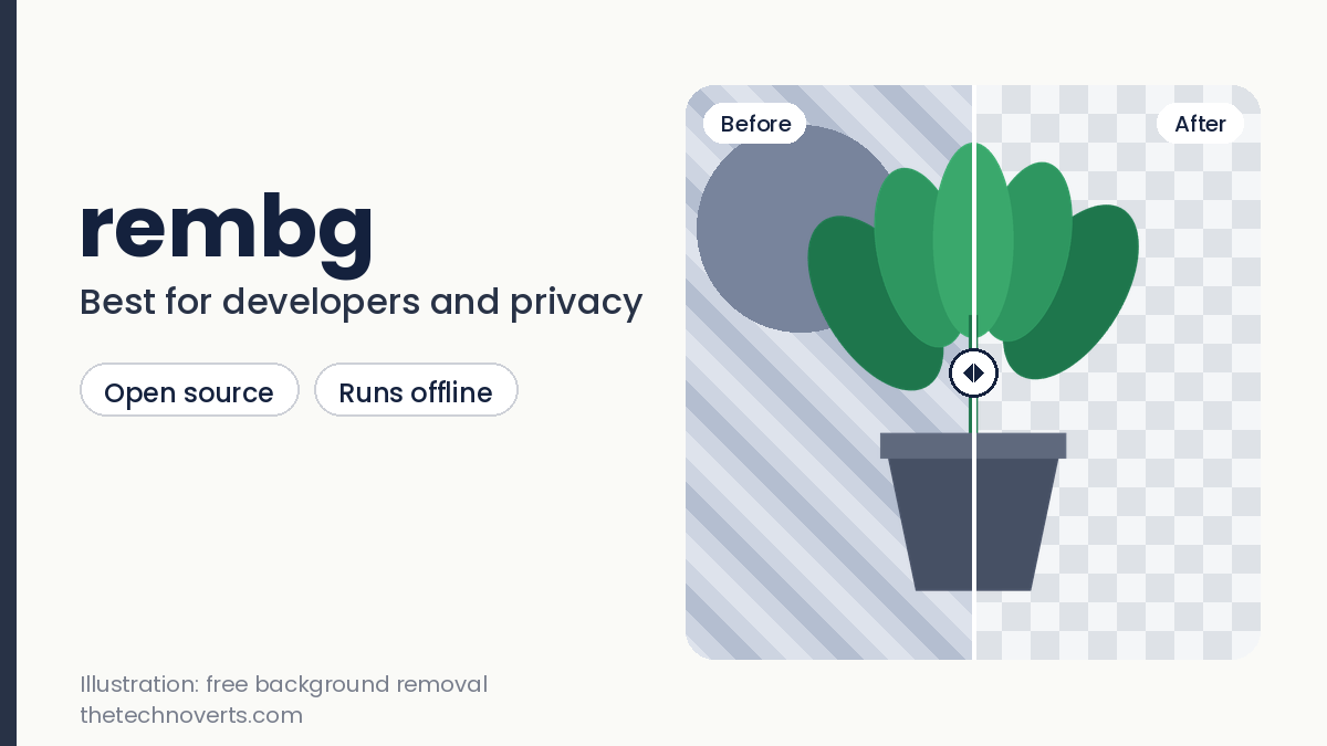 Illustration of a before and after background removal for rembg with a plant on a transparent grid